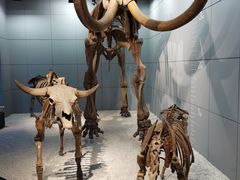 -德克士(西湖文化广场店)