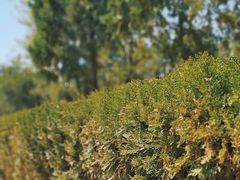 -北京市八达岭人民公墓