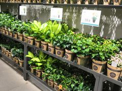 -鹿岛会员店 (龙湖三千集天街店)