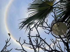 -厦门日月谷温泉渡假村