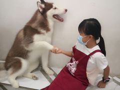 -星多哈·狗咖·拼豆·咖啡