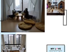 -Husky Go! 哈士奇体验馆·宠物咖啡厅狗咖