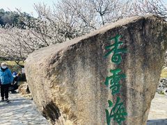 -香雪海
