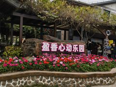 -盈香心动乐园