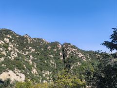 -大岭沟猕猴桃谷风景区