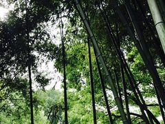 -汇龙潭