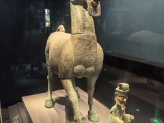 -广西壮族自治区博物馆