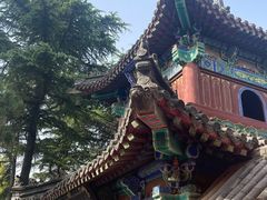 -洛阳白马寺