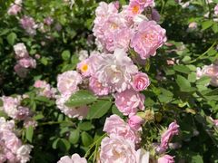 -南山风景名胜区