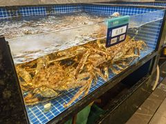 -东海怡品海鲜豆捞(舟宿夜江店)