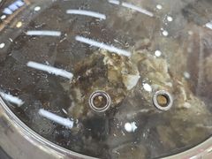 -仙螺岛海鲜自助餐厅(总店)