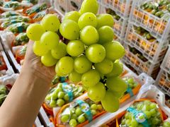 -南京众彩农副产品配送有限公司