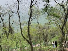 -南京老山国家森林公园