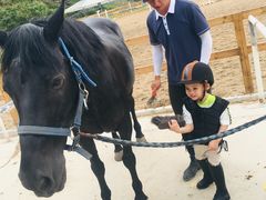 -枫露马术学院(藏书校区)