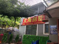 -大海别墅民宿农家院(十渡店)