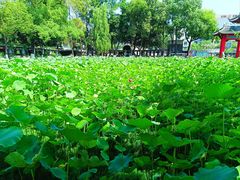 -四川大学(望江校区)