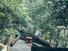 -都江堰普照寺