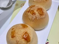 -有心德(麦地店)