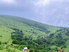 -大姆山草场