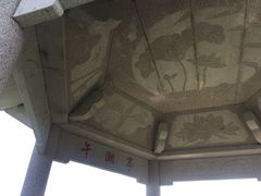 -午潮山国家森林公园