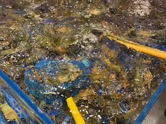 -79号渔船海鲜饭店(华强北店)