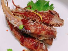 -新吉士·上海菜(浦东LCM置汇旭辉店)