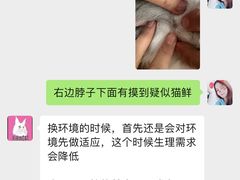 -十年猫舍·猫咪专门店(普陀店)