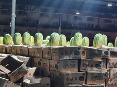 -菜园坝水果市场