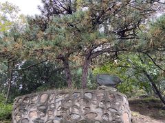-北京鹫峰国家森林公园