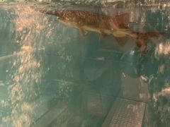 -漓江又一軒·广西菜·桂林米粉(梅林店)