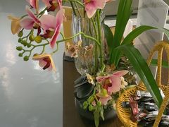 -施奈儿.洗头頭療.按摩SPA.采耳(上梅林店)