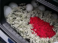-拾花记花艺·求婚·订婚·生日布置(高新店)