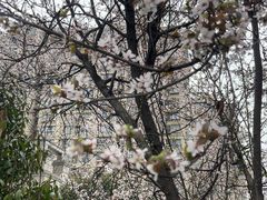 -锅三哥地锅鸡地锅鱼(南京旗舰店)