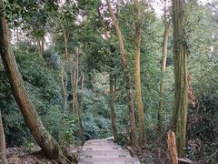 -凤栖山