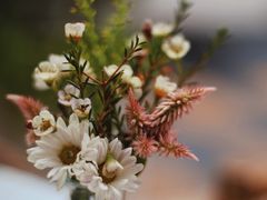 -翠贝卡&Mama Kelly Brunch Coffee(河西店)