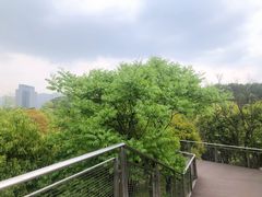 -苏州清山会议中心