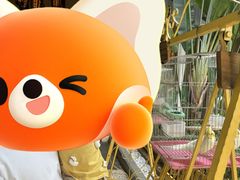 -西双版纳融创皇冠假日度假酒店