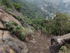 -南山植物园