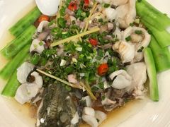 -东馆和天下特色餐饮(工农店)