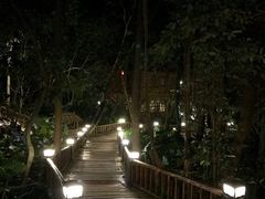 -天门沟九州驿站树上汤泉