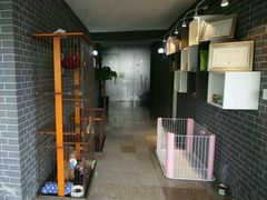 -鑫艺宠物美容培训学校