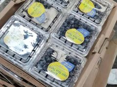 -西郊国际农产品交易中心