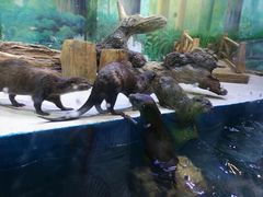 -华夏文旅西安度假区