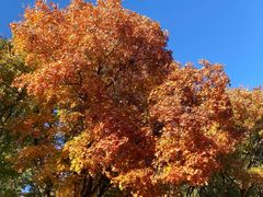 -北京西山国家森林公园