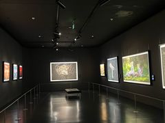 -罗红摄影艺术馆