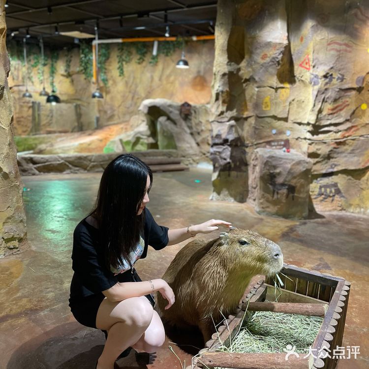 Zoolung zoolung史上最强攻略💕💕💕