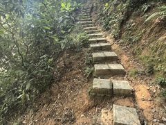 -火炉山森林公园
