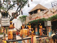 -奥兰多迪士尼动物王国乐园