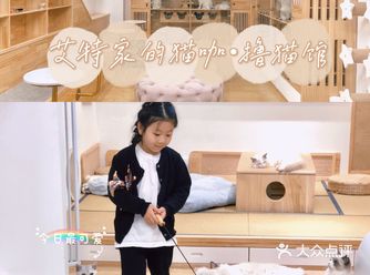 魔都探店|一家有温度的猫咖