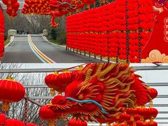 -同里国家湿地公园